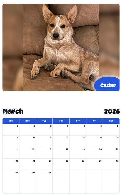 November 2025 - October 2026 Cedar - Pawidols Pet Calendar