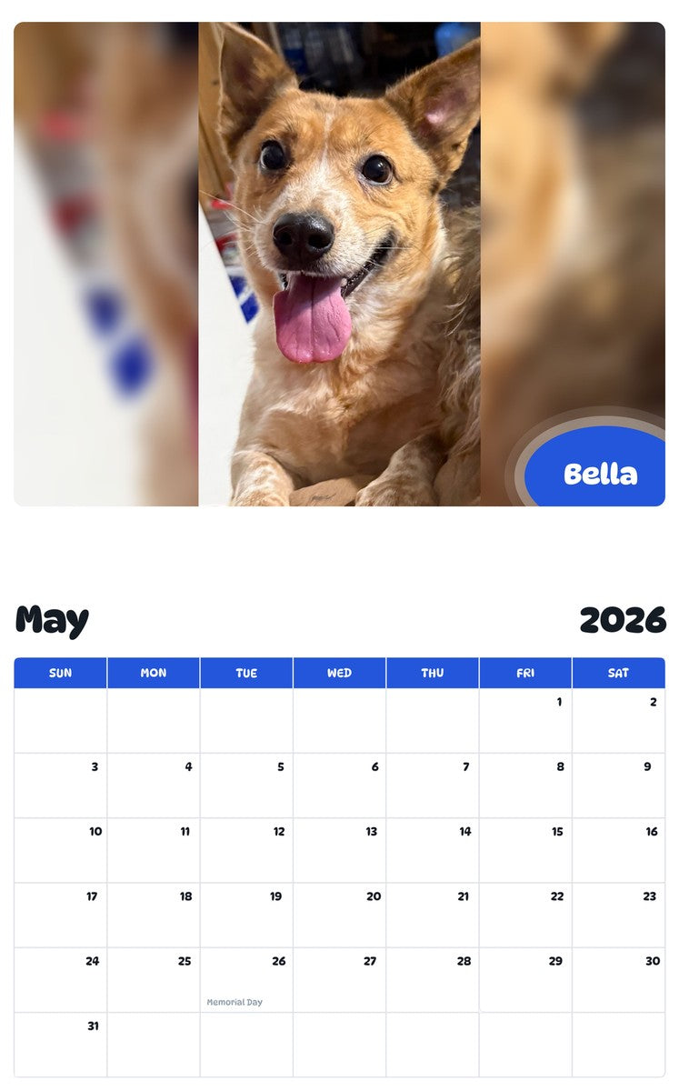 2026 - 2027 Bella - Pawidols Pet Calendar