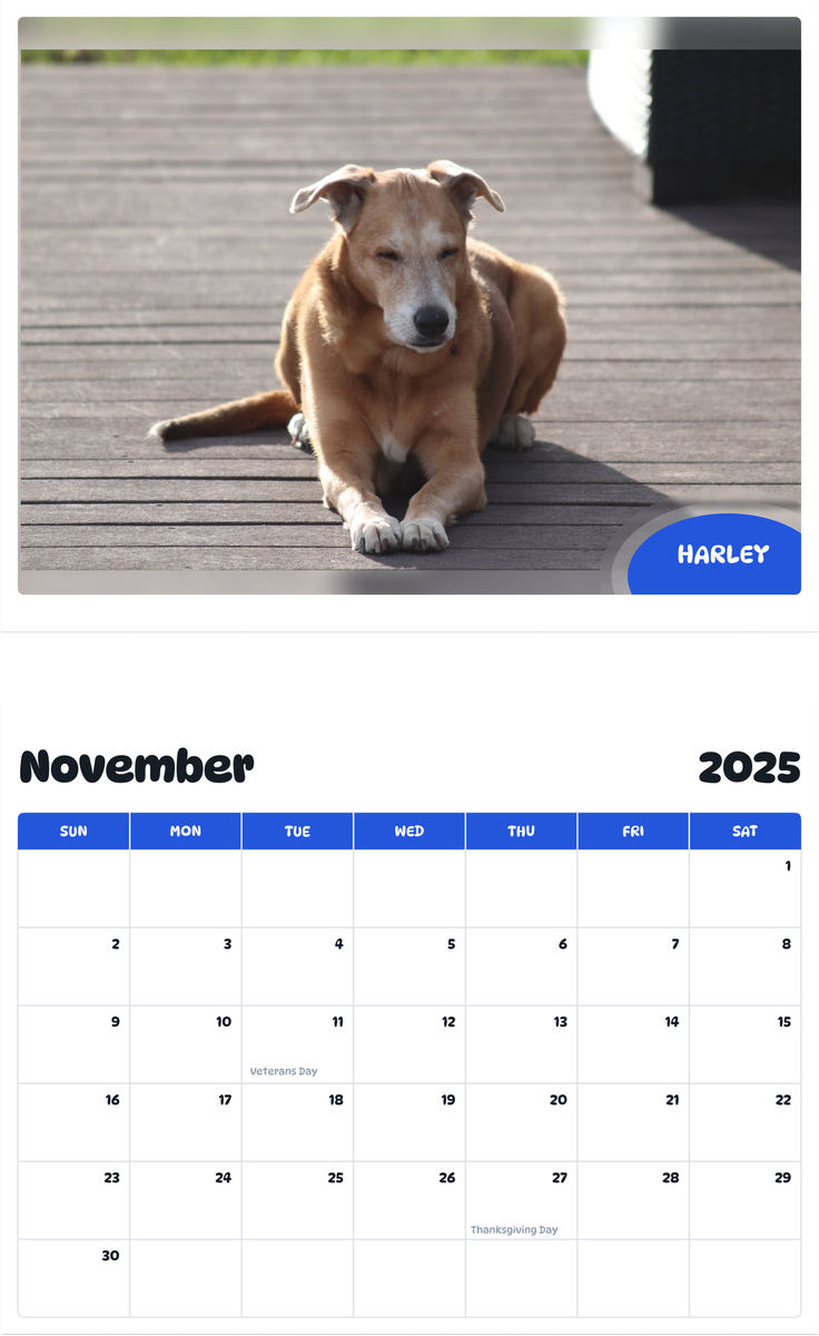 July 2025 - June 2026 Harley - Pawidols Pet Calendar