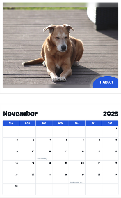 July 2025 - June 2026 Harley - Pawidols Pet Calendar