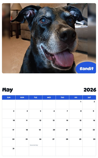 2026 - 2027 Bandit - Pawidols Pet Calendar