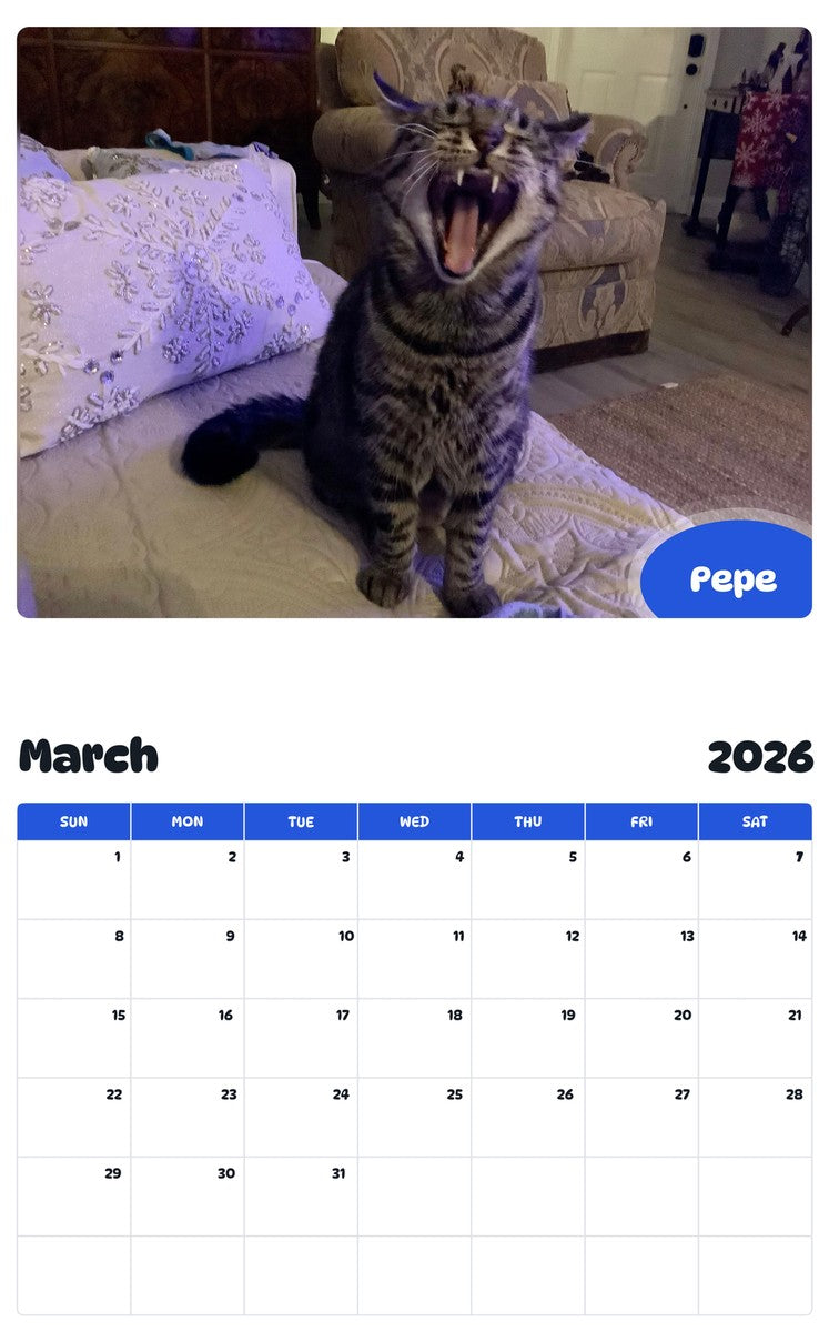 November 2025 - October 2026 Pepe - Pawidols Pet Calendar