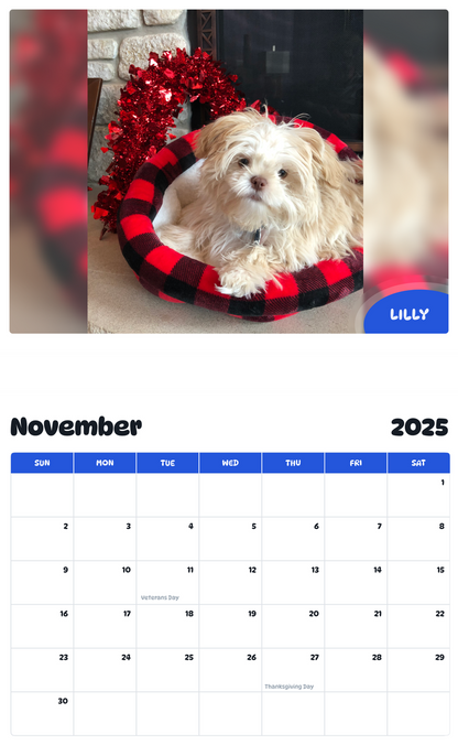July 2025 - June 2026 Lilly - Pawidols Pet Calendar
