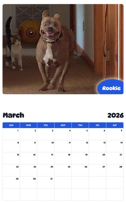 November 2025 - October 2026 Rookie - Pawidols Pet Calendar
