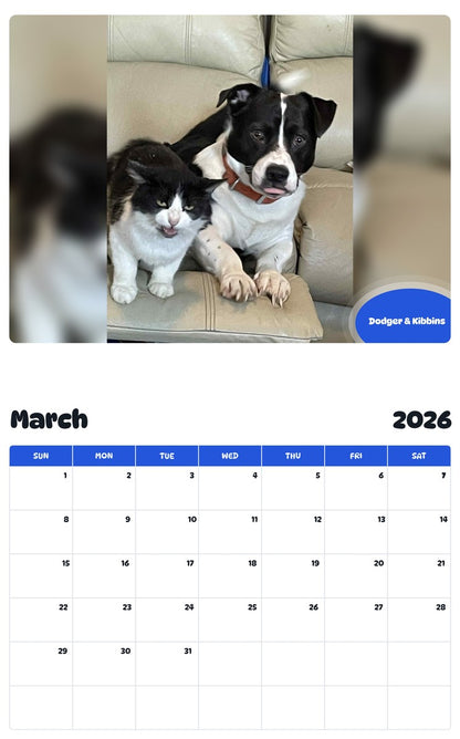 November 2025 - October 2026 Dodger & Kibbins - Pawidols Pet Calendar