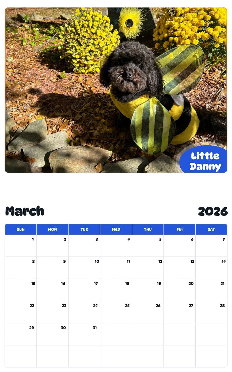 November 2025 - October 2026 Little Danny - Pawidols Pet Calendar