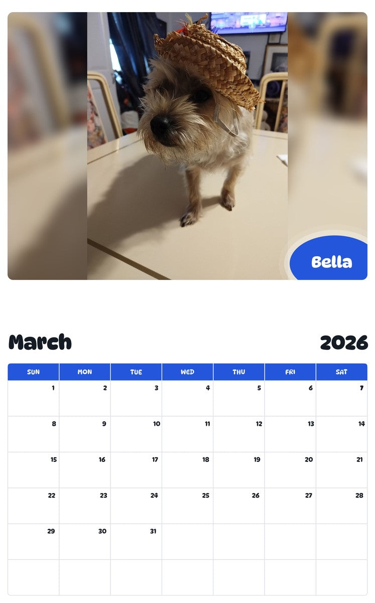 November 2025 - October 2026 Bella - Pawidols Pet Calendar
