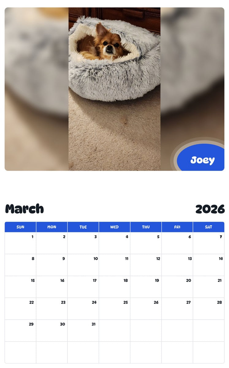 November 2025 - October 2026 Joey - Pawidols Pet Calendar