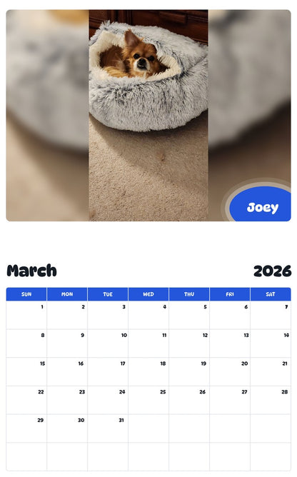 November 2025 - October 2026 Joey - Pawidols Pet Calendar