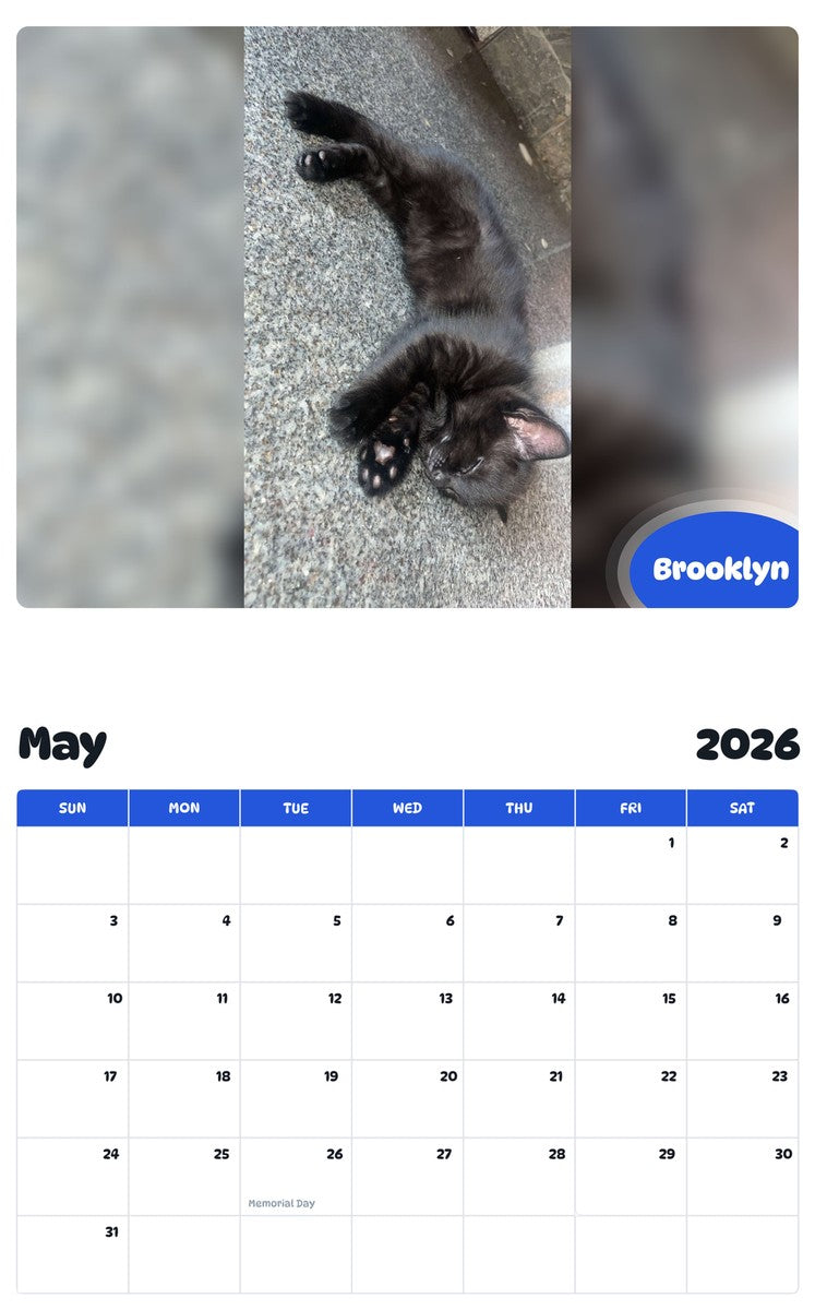 2026 - 2027 Brooklyn - Pawidols Pet Calendar