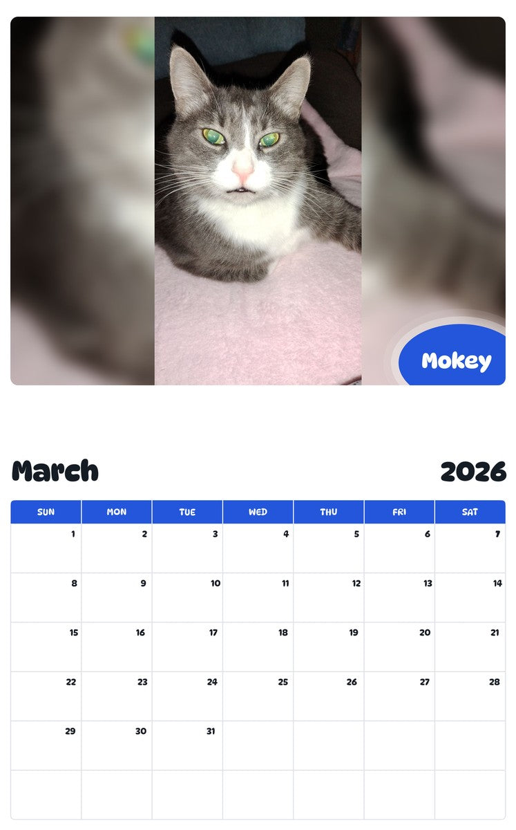 November 2025 - October 2026 Mokey - Pawidols Pet Calendar