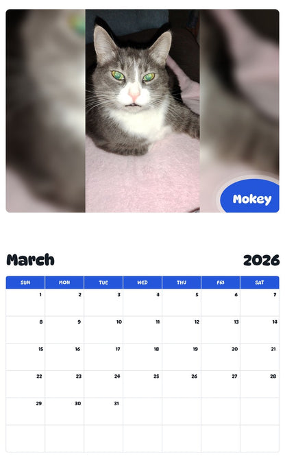 November 2025 - October 2026 Mokey - Pawidols Pet Calendar