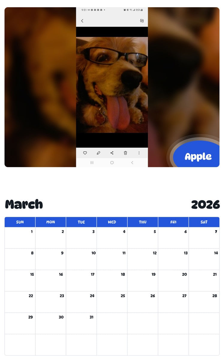 November 2025 - October 2026 Apple - Pawidols Pet Calendar