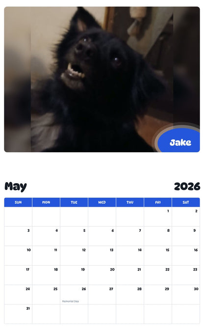 2026 - 2027 Jake - Pawidols Pet Calendar