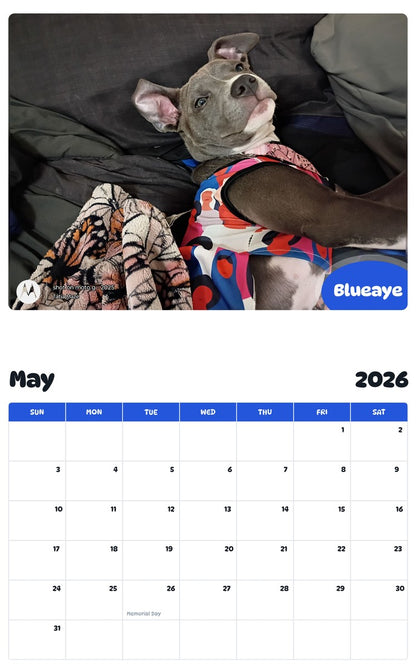 2026 - 2027 Blueaye - Pawidols Pet Calendar