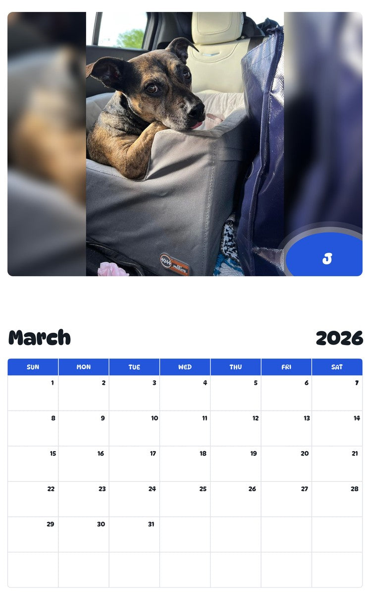 November 2025 - October 2026 J - Pawidols Pet Calendar