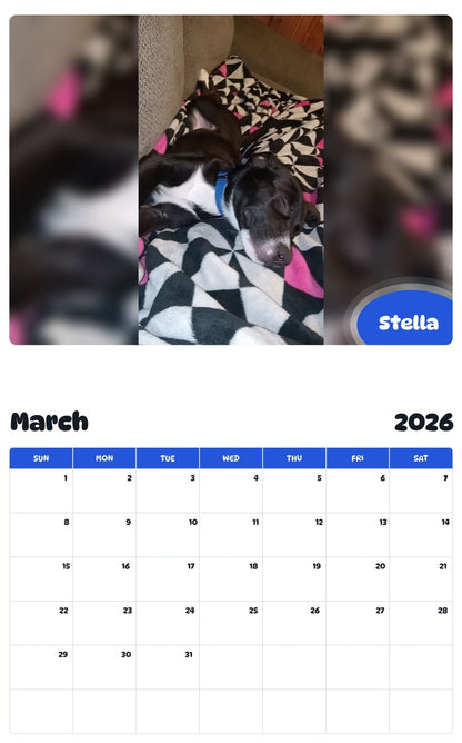 November 2025 - October 2026 Stella - Pawidols Pet Calendar