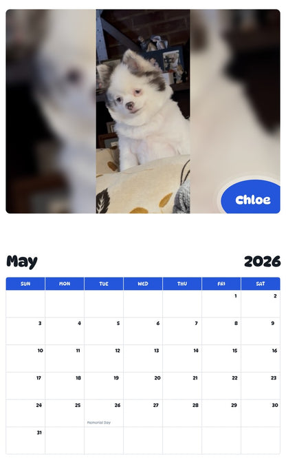 2026 - 2027 Chloe - Pawidols Pet Calendar