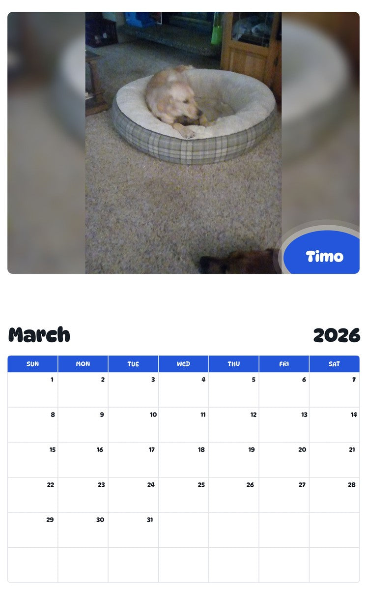November 2025 - October 2026 Timo - Pawidols Pet Calendar