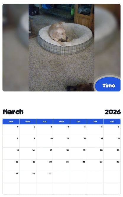 November 2025 - October 2026 Timo - Pawidols Pet Calendar
