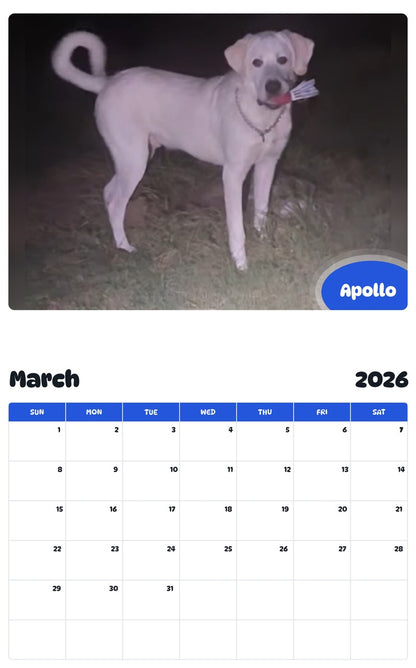 November 2025 - October 2026 Apollo - Pawidols Pet Calendar