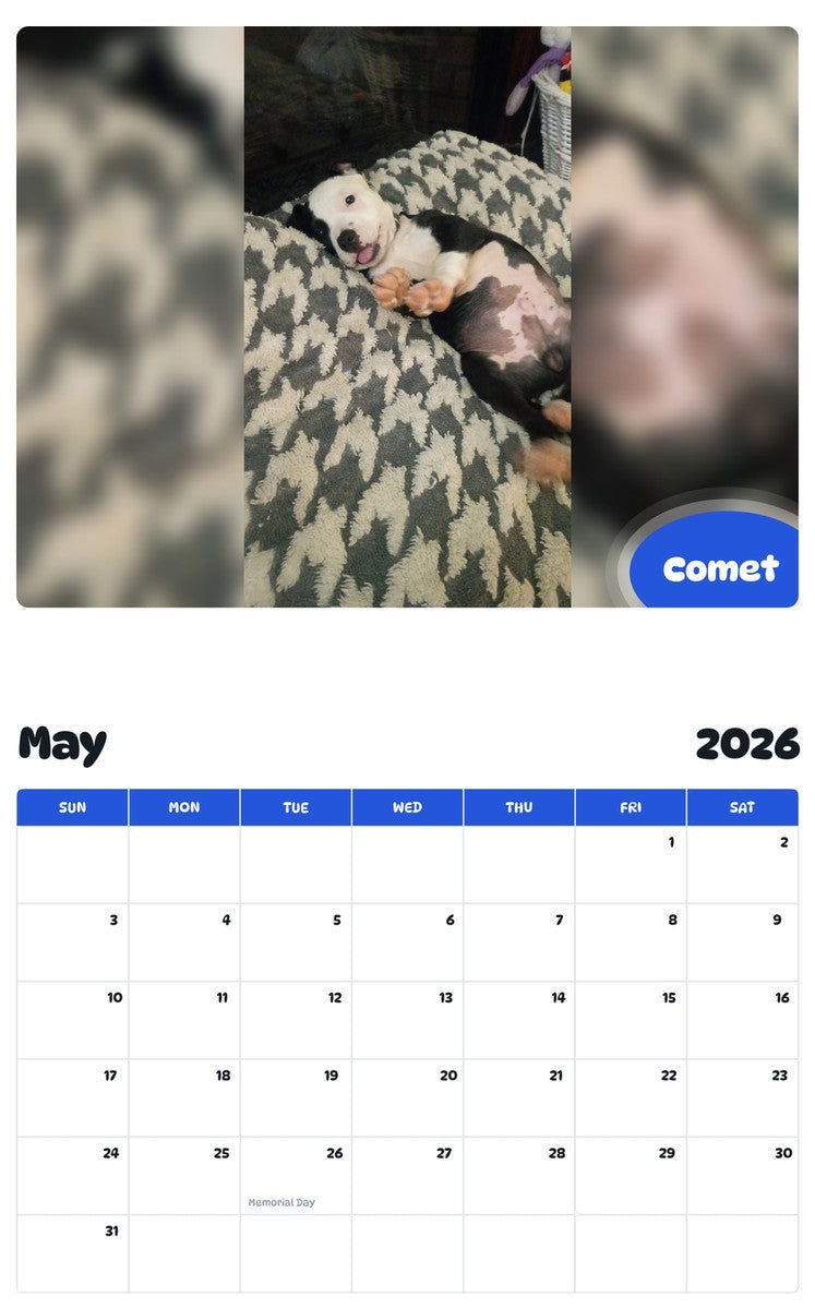 2026 - 2027 Comet - Pawidols Pet Calendar