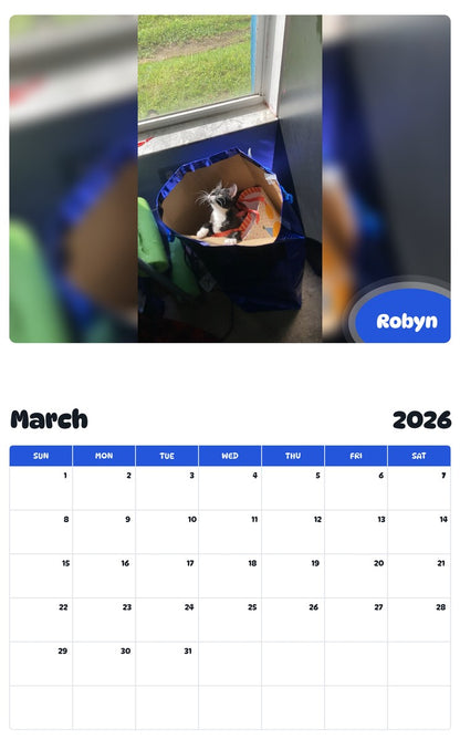 November 2025 - October 2026 Robyn - Pawidols Pet Calendar