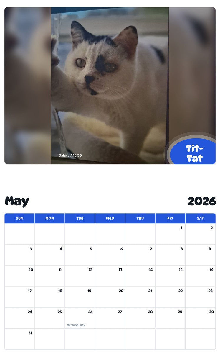 2026 - 2027 Tit-Tat - Pawidols Pet Calendar