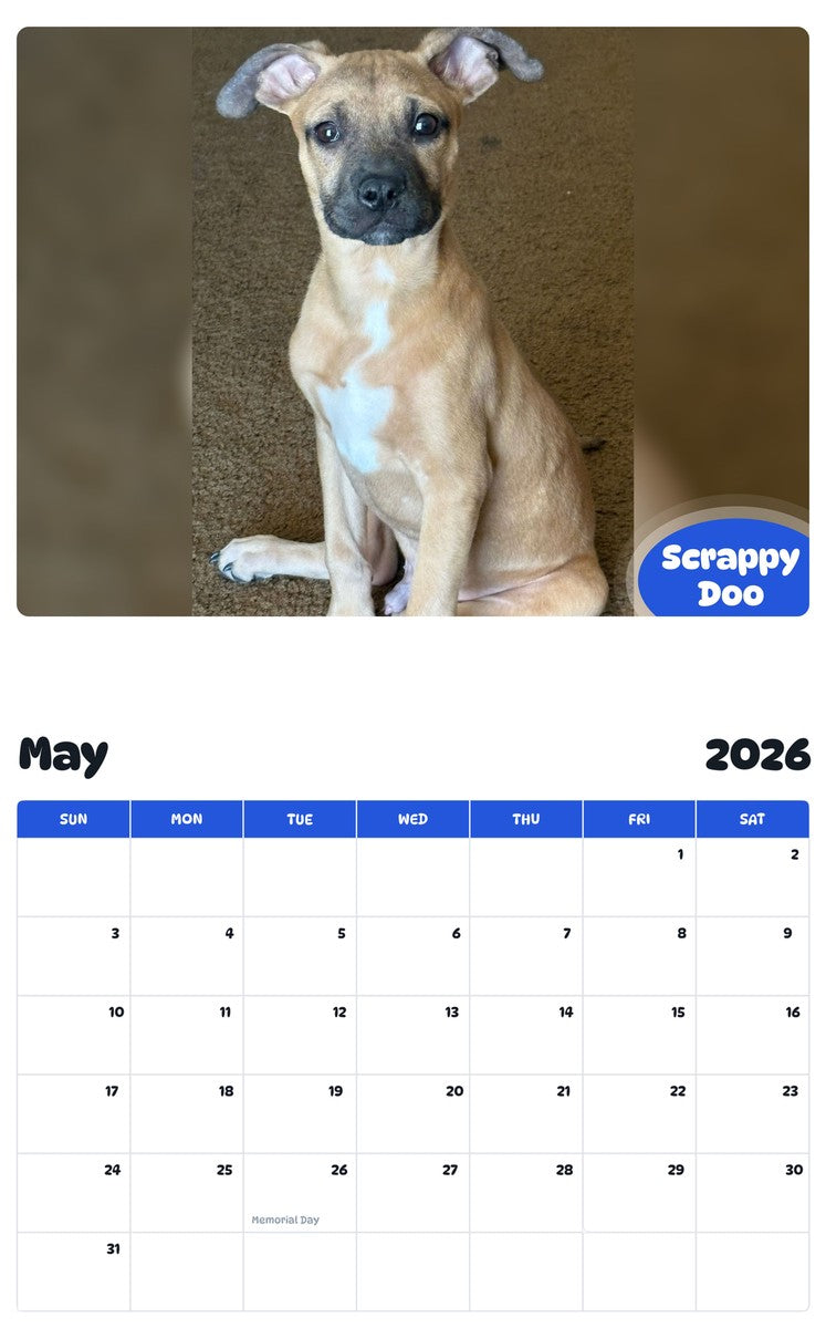 2026 - 2027 Scrappy Doo - Pawidols Pet Calendar