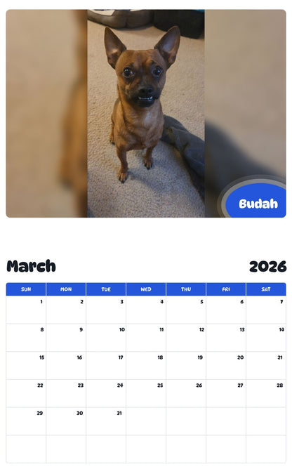 November 2025 - October 2026 Budah - Pawidols Pet Calendar