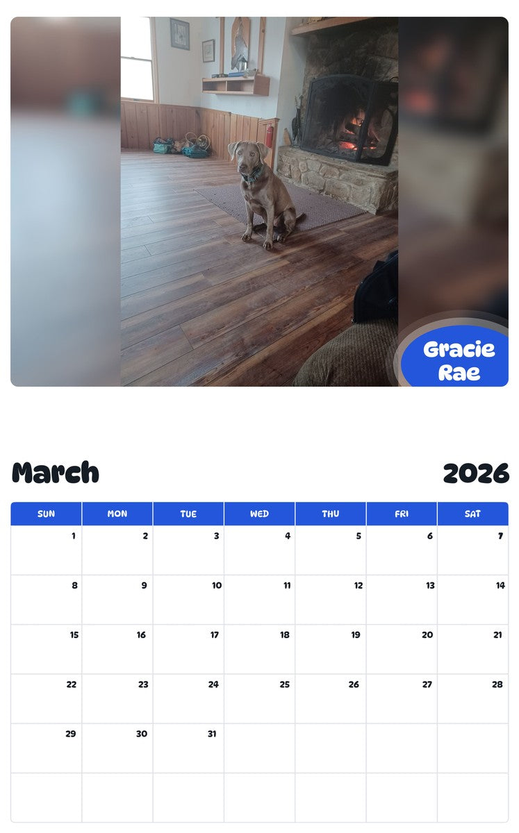 November 2025 - October 2026 Gracie Rae - Pawidols Pet Calendar