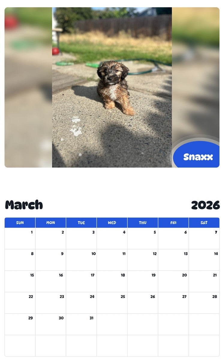 November 2025 - October 2026 Snaxx - Pawidols Pet Calendar