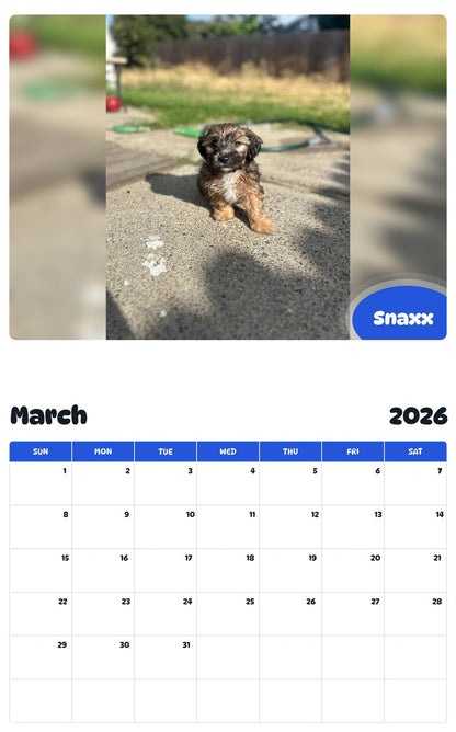 November 2025 - October 2026 Snaxx - Pawidols Pet Calendar