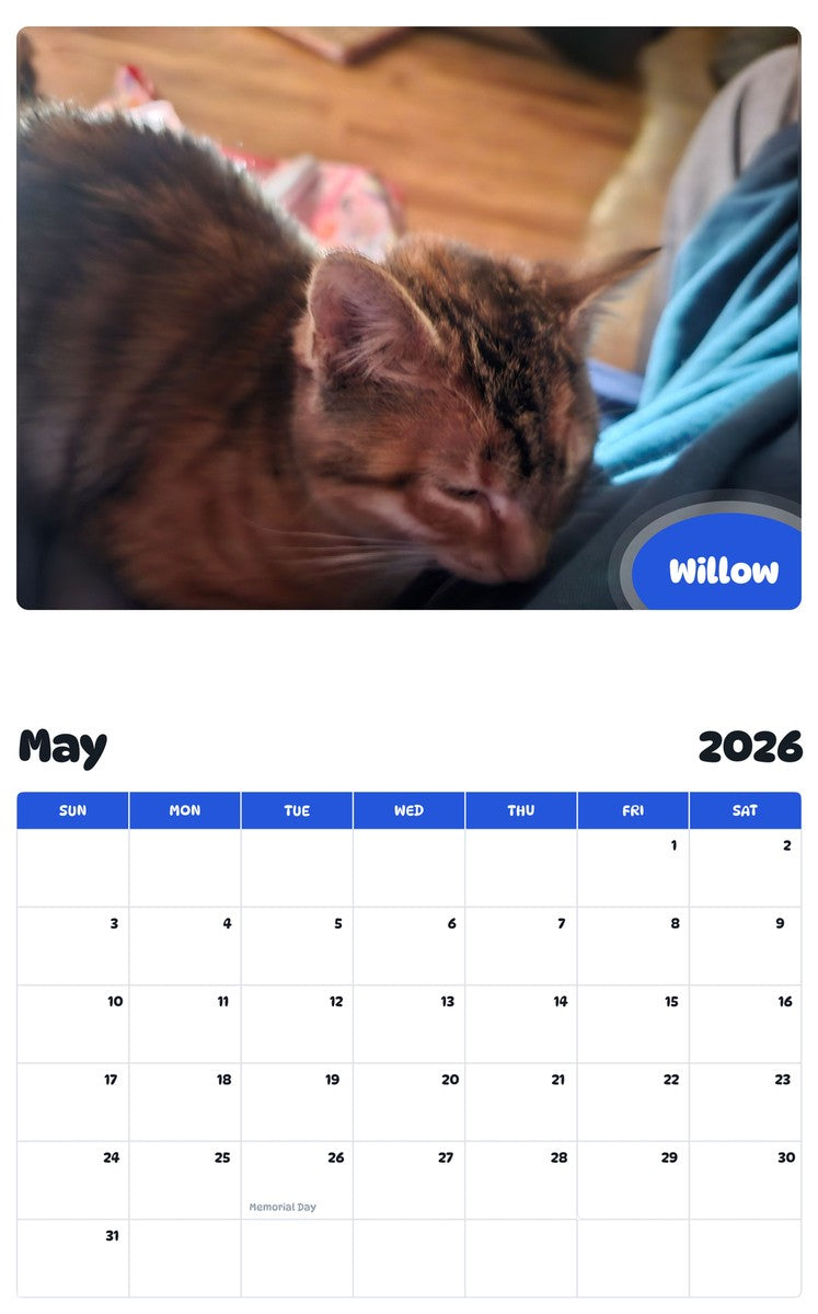 2026 - 2027 Willow - Pawidols Pet Calendar