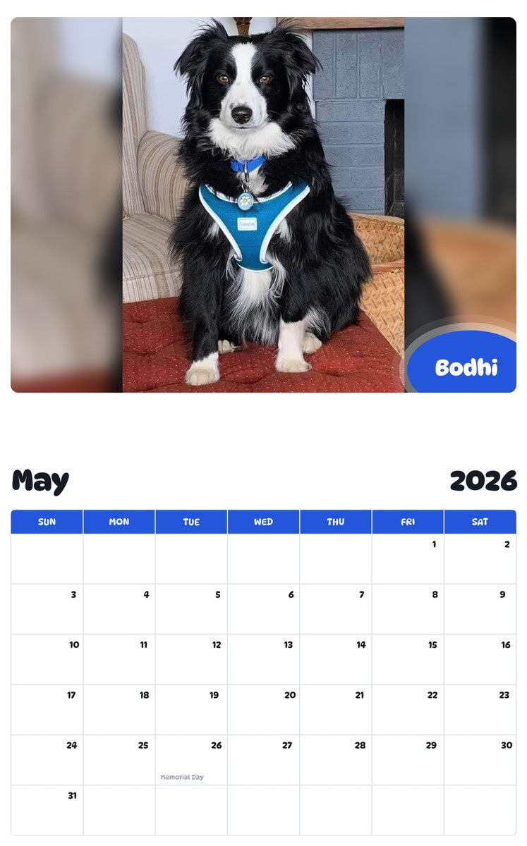 2026 - 2027 Bodhi - Pawidols Pet Calendar