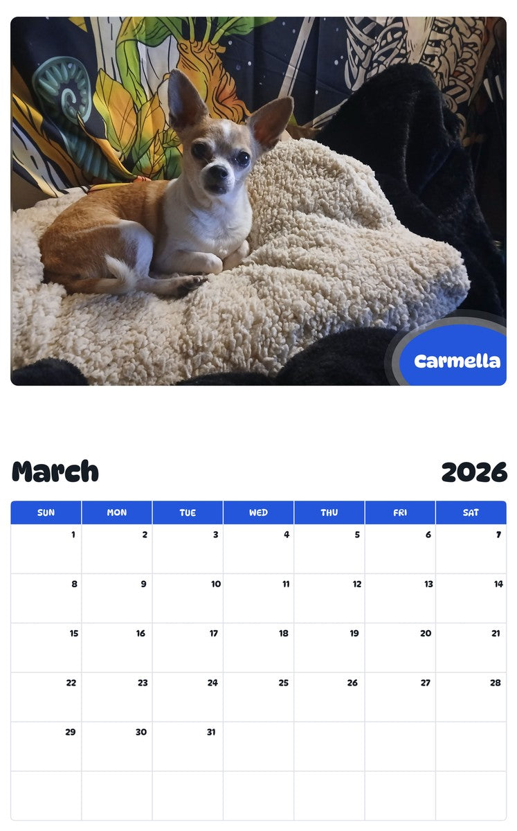 November 2025 - October 2026 Carmella - Pawidols Pet Calendar