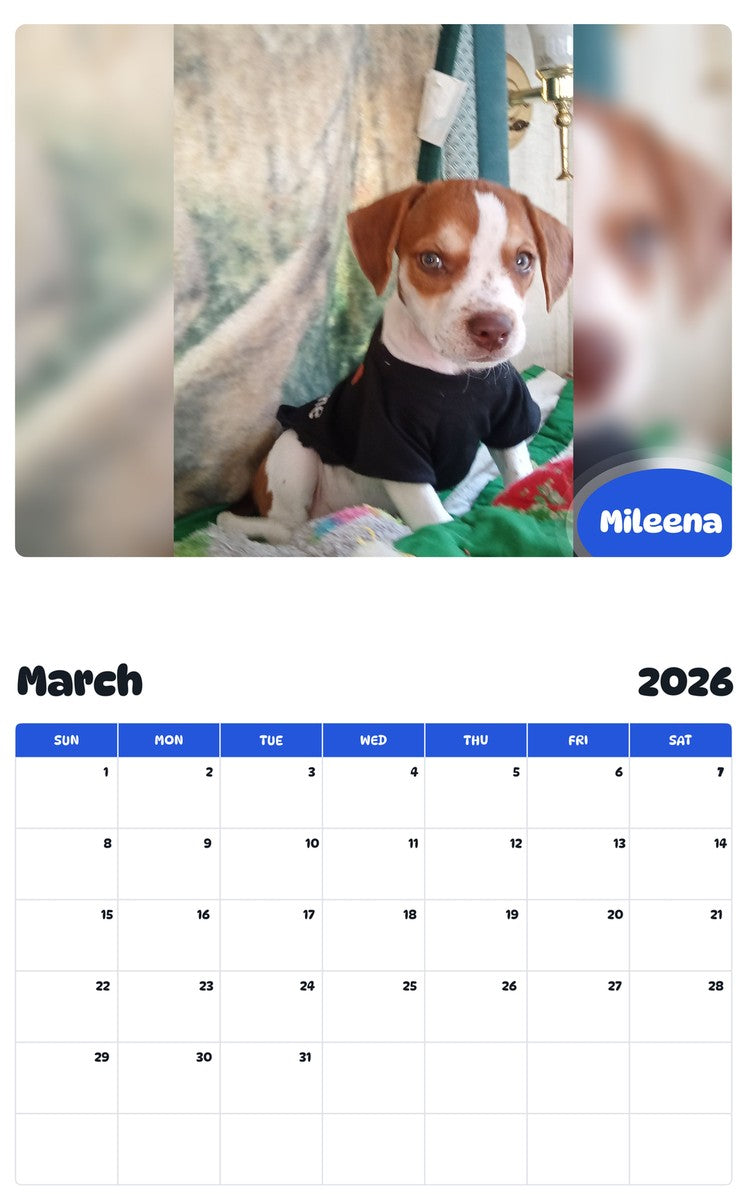 November 2025 - October 2026 Mileena - Pawidols Pet Calendar