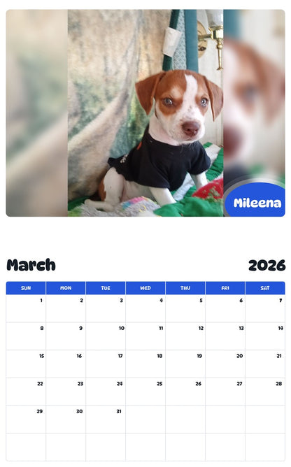 November 2025 - October 2026 Mileena - Pawidols Pet Calendar