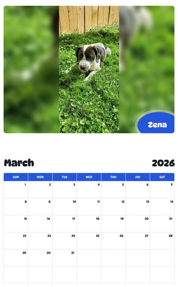November 2025 - October 2026 Zena - Pawidols Pet Calendar