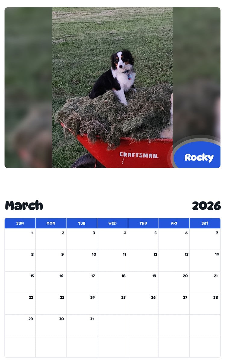 November 2025 - October 2026 Rocky - Pawidols Pet Calendar