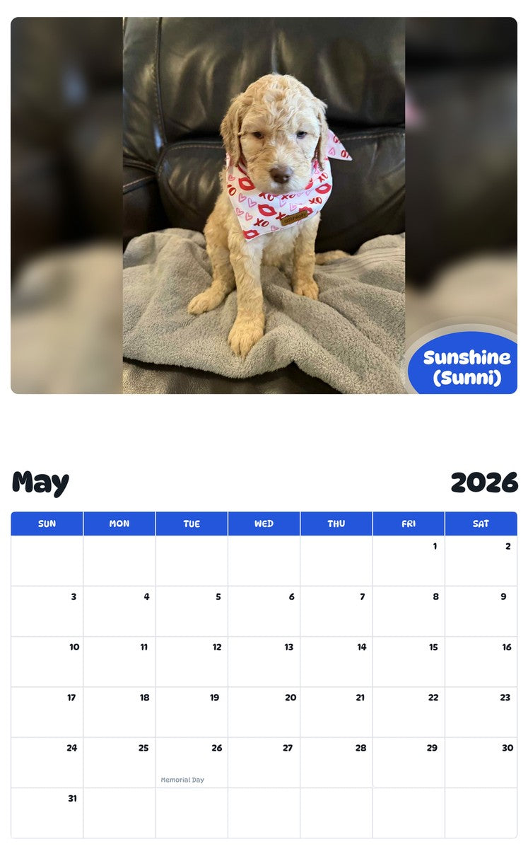 2026 - 2027 Sunshine (Sunni) - Pawidols Pet Calendar