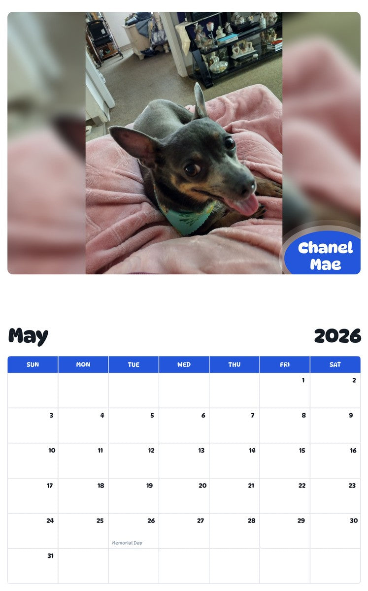 2026 - 2027 Chanel Mae - Pawidols Pet Calendar