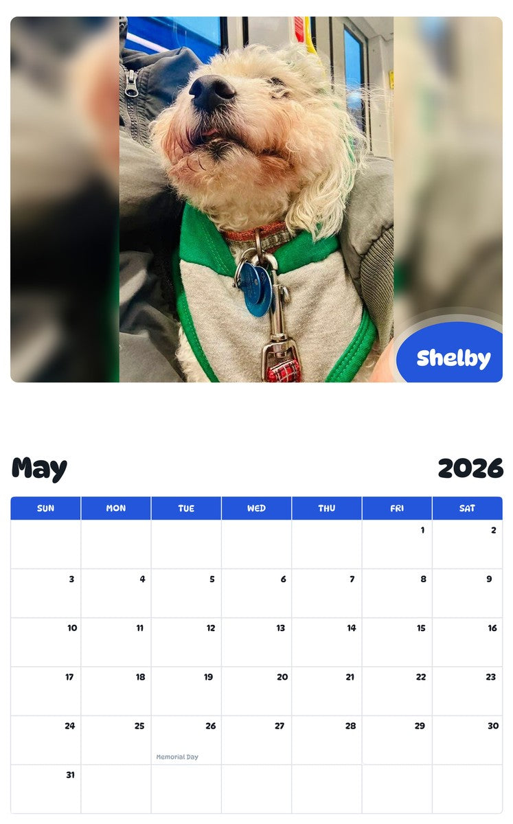 2026 - 2027 Shelby - Pawidols Pet Calendar