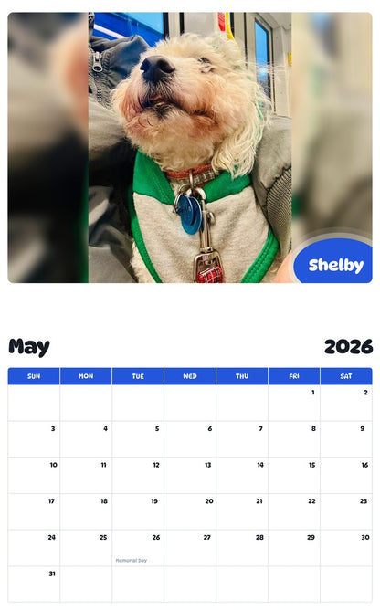 2026 - 2027 Shelby - Pawidols Pet Calendar