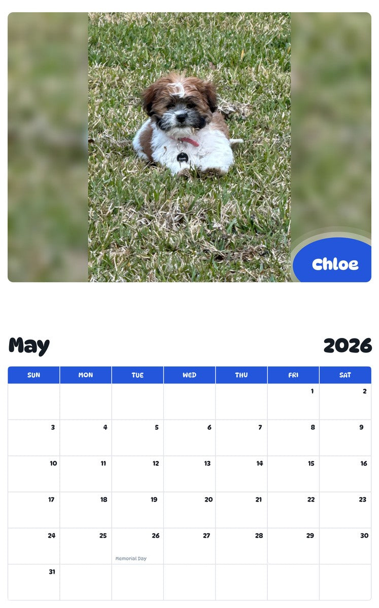 2026 - 2027 Chloe - Pawidols Pet Calendar