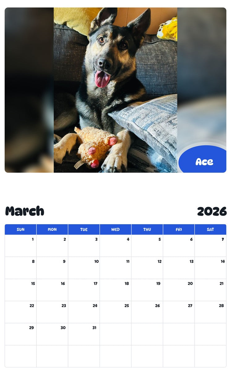 November 2025 - October 2026 Ace - Pawidols Pet Calendar