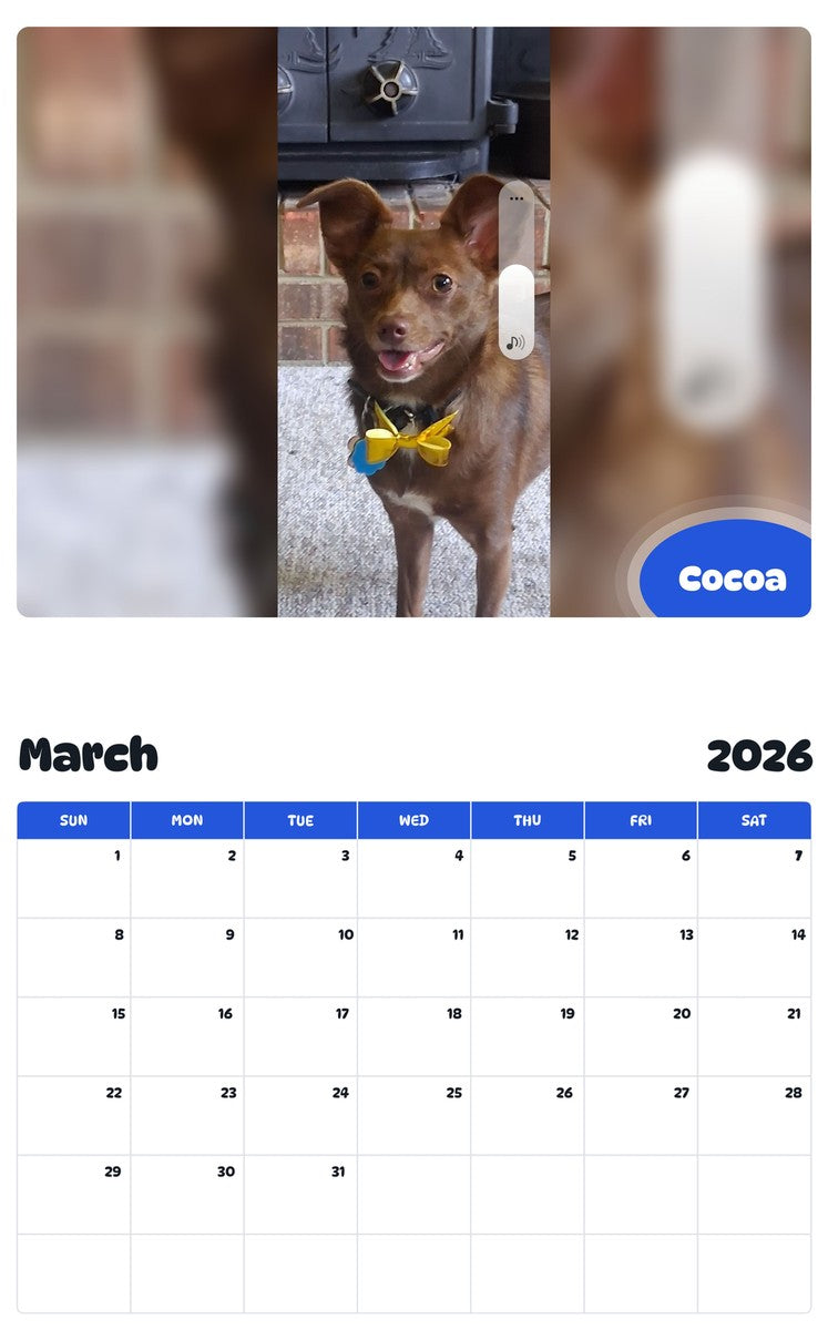November 2025 - October 2026 Cocoa - Pawidols Pet Calendar