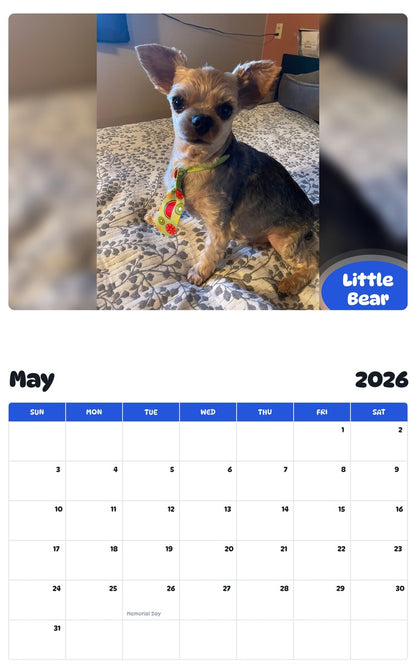 2026 - 2027 Little Bear - Pawidols Pet Calendar