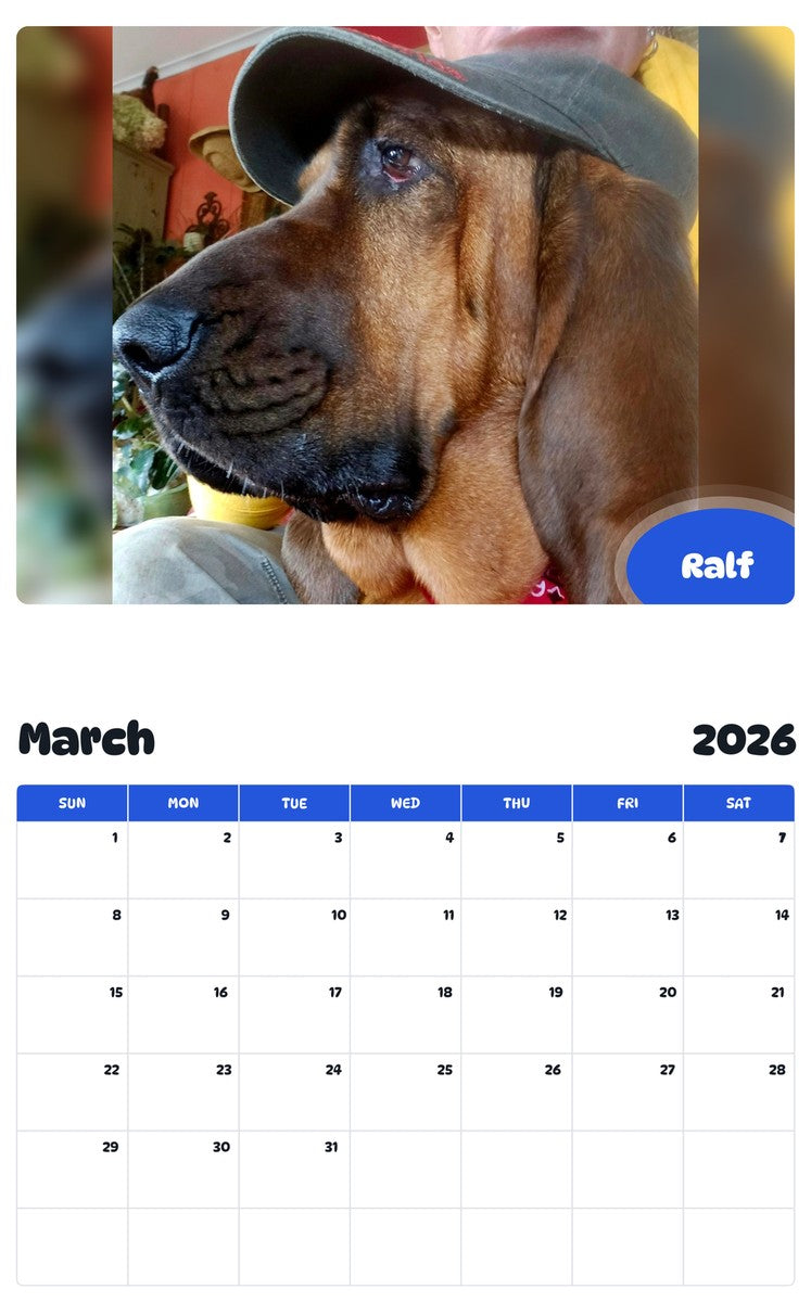 November 2025 - October 2026 Ralf - Pawidols Pet Calendar