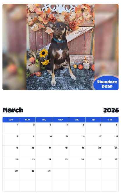November 2025 - October 2026 Theodore Dean - Pawidols Pet Calendar